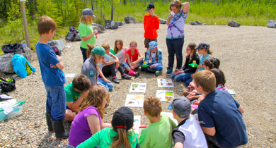 Nature Discovery