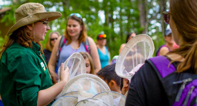 Nature Discovery