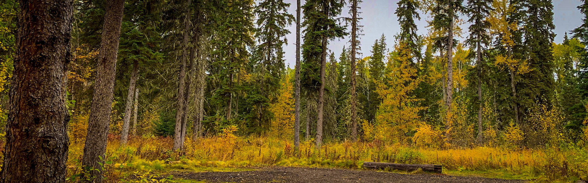 Alberta Parks