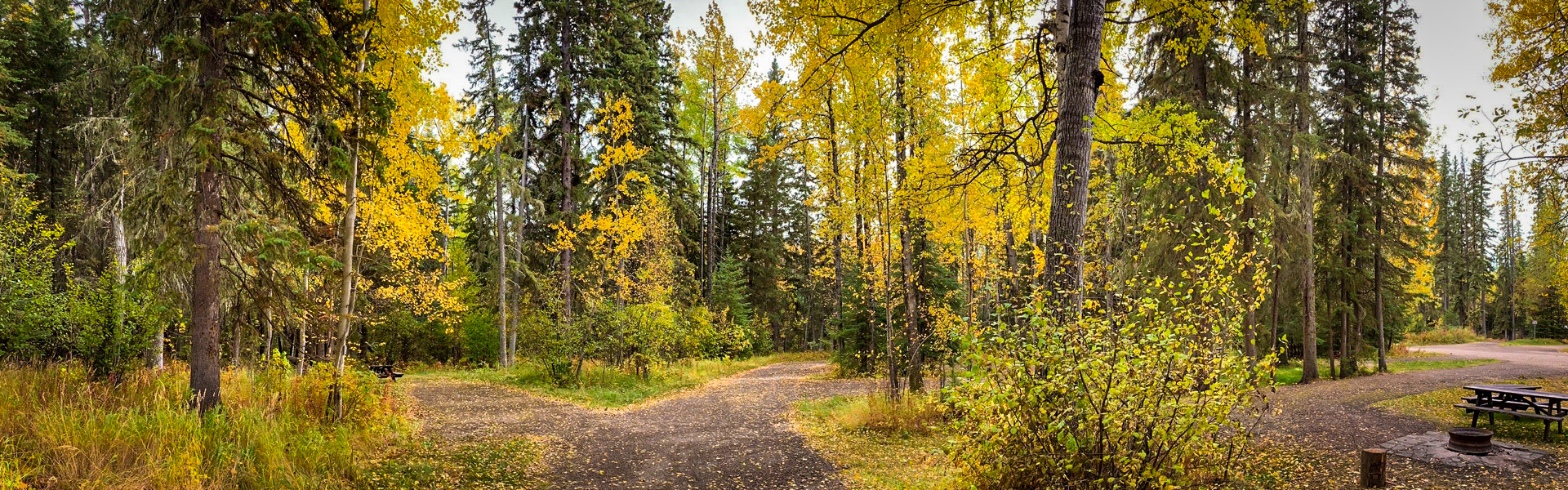 Alberta Parks
