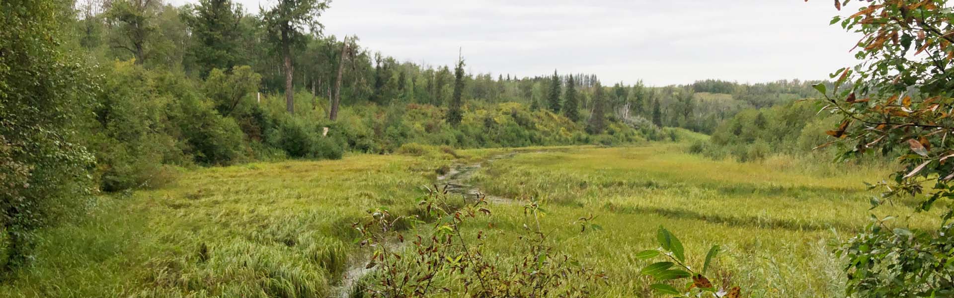 Alberta Parks