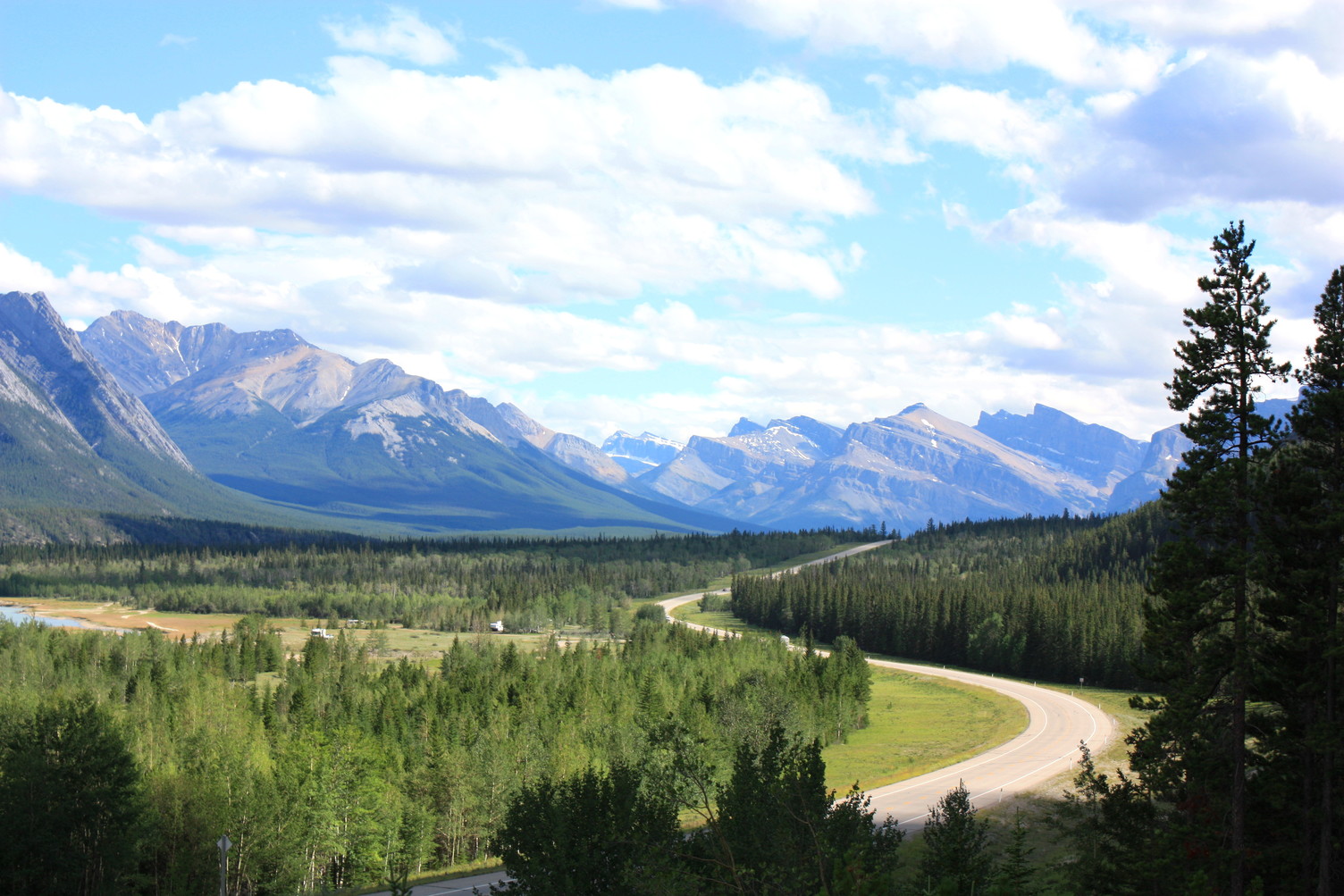 Wildlife found along the David Thompson Highway