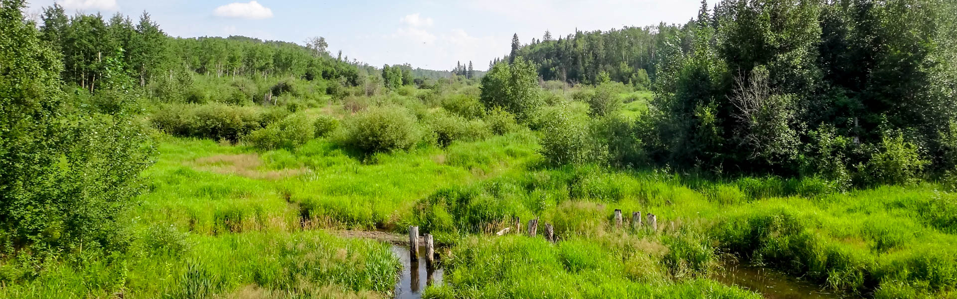 Alberta Parks
