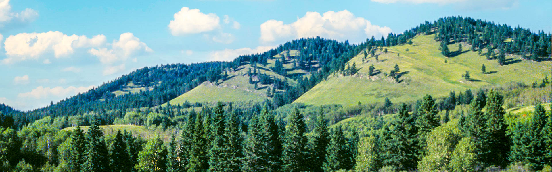 Alberta Parks
