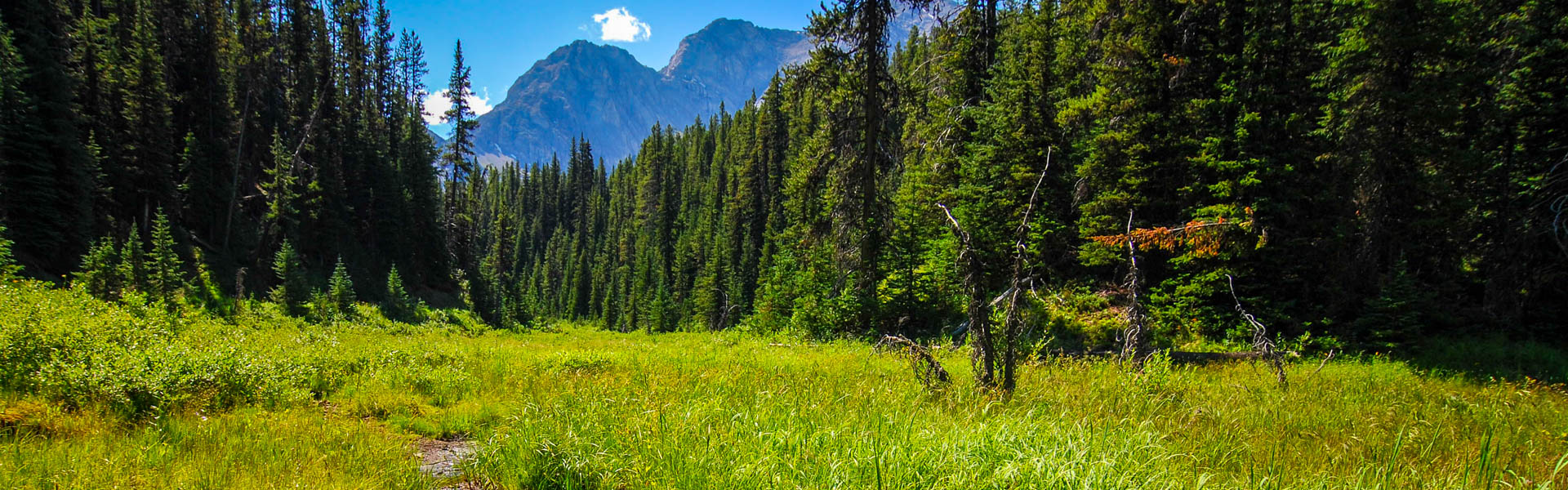 Alberta Parks