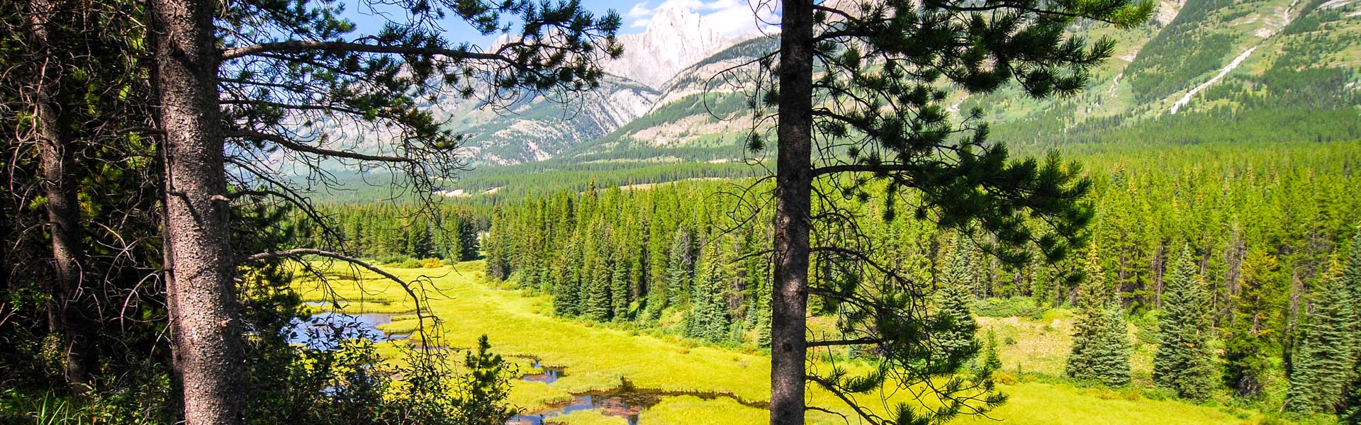 Alberta Parks