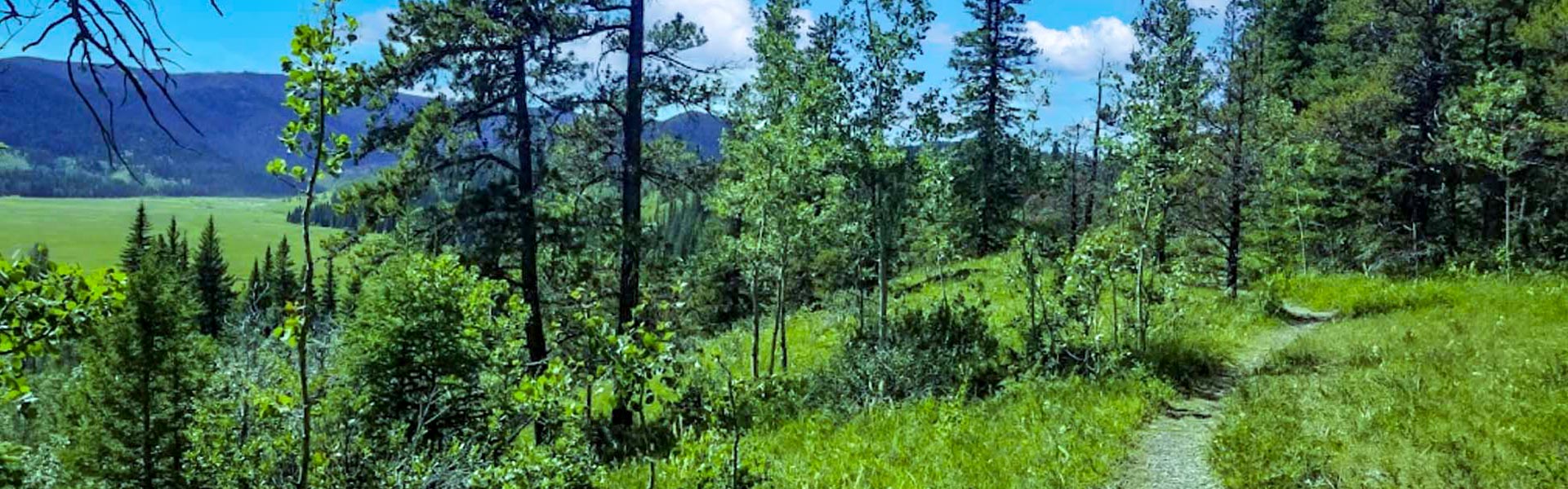 Alberta Parks