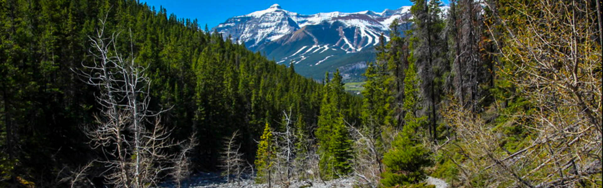 Alberta Parks