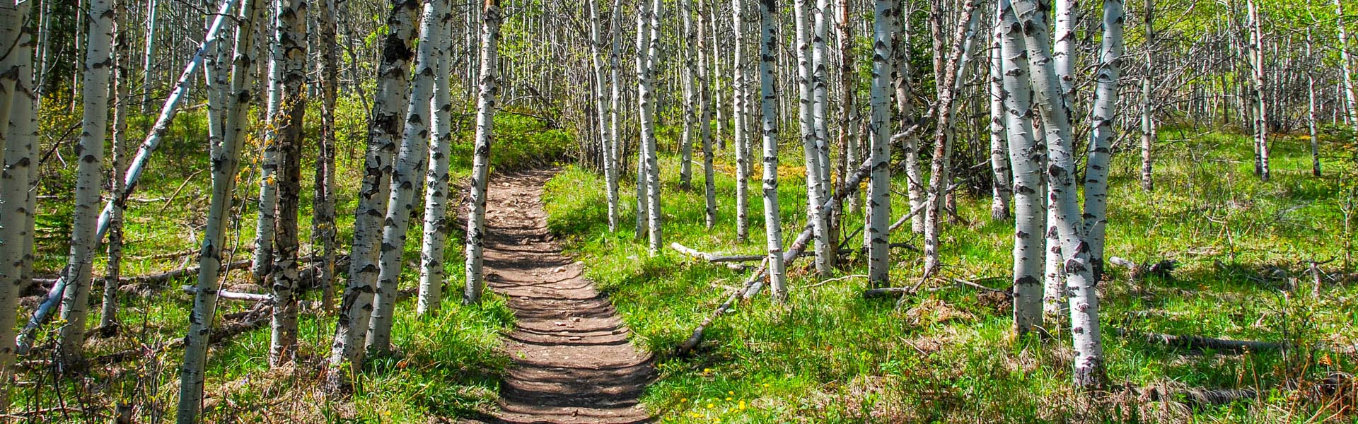 Alberta Parks