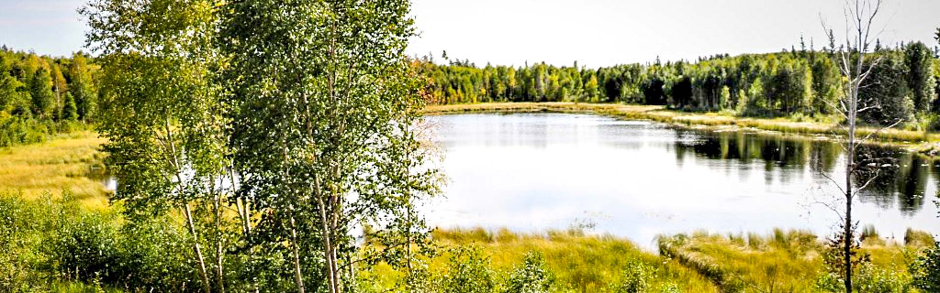 Alberta Parks