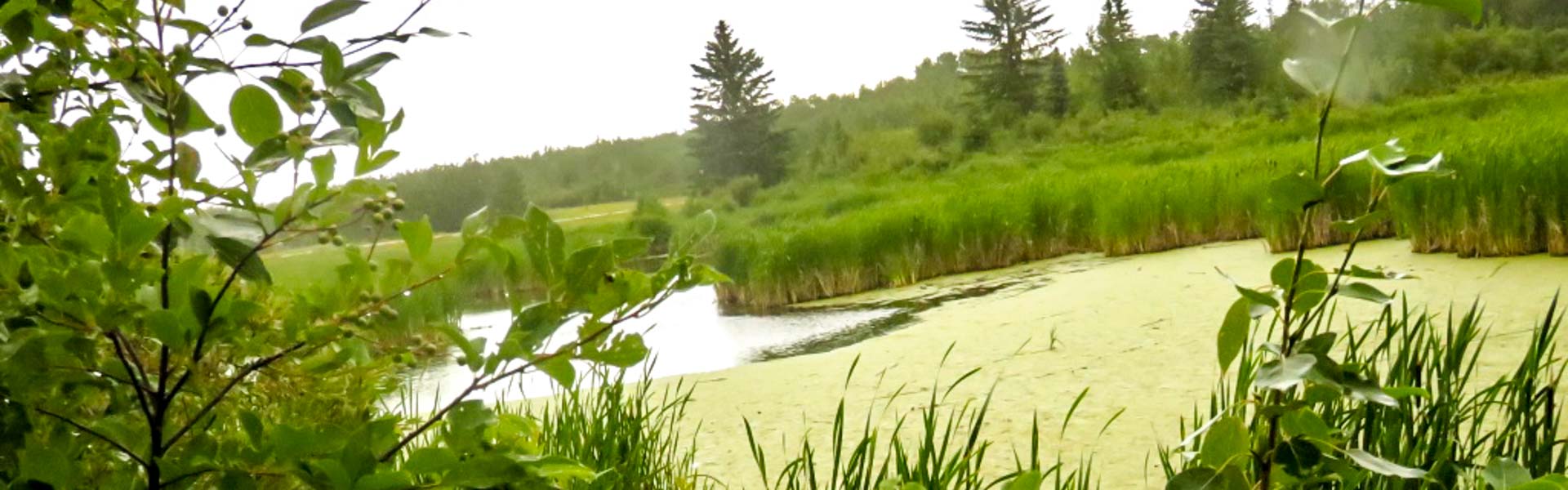 Alberta Parks