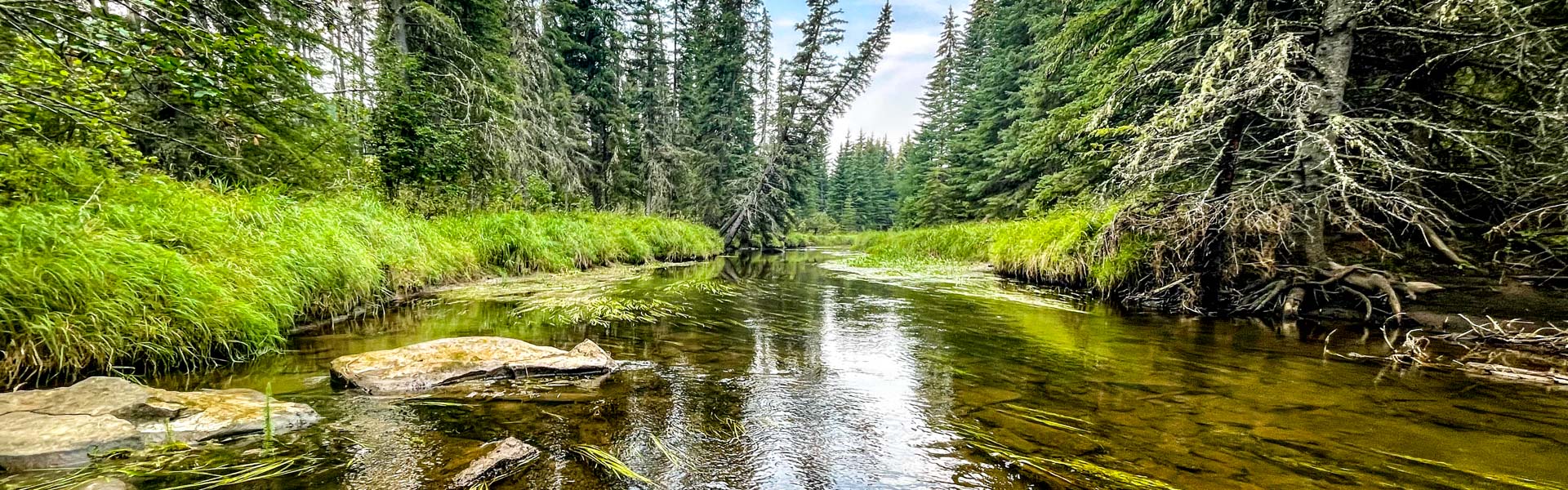 Alberta Parks
