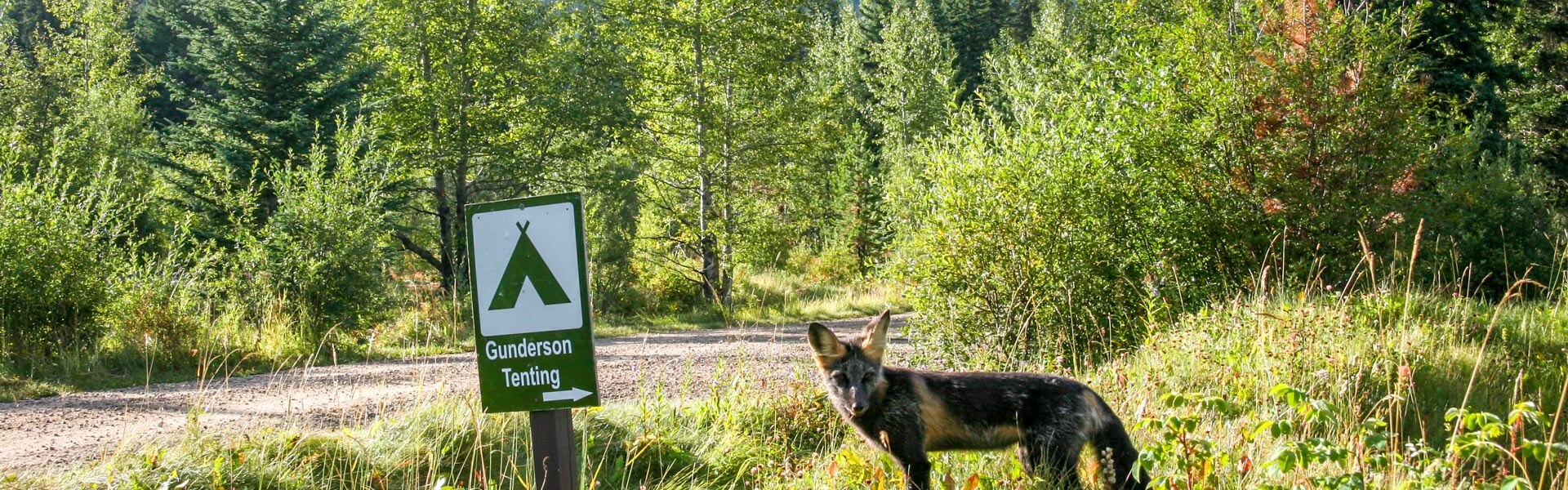 Alberta Parks