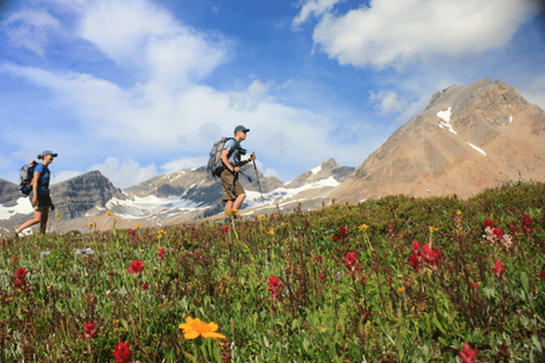Two hikers moving across a field of wildflowers with a blue sky and mountain peaks in the background. This is a photo of White Goat Wilderness Area.