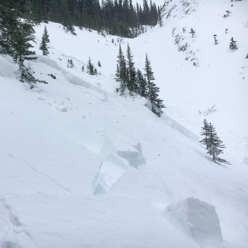 Avalanche below treeline near Commonwealth Creek in terrain trap