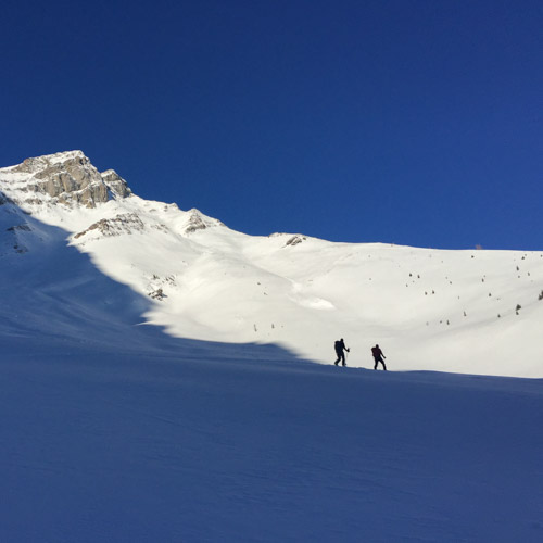 Cegnfs Bowl, Complex Terrain