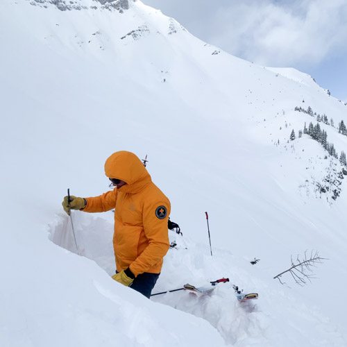 Snow profile Cegnfs Bowl, Complex Terrain