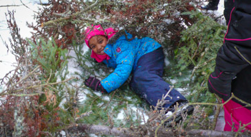 Shelters WAB (Winter)