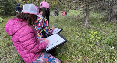 Plants – Structured for Survival