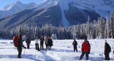 Environmental Education in a Winter Context