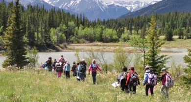 ABC Nature Walk