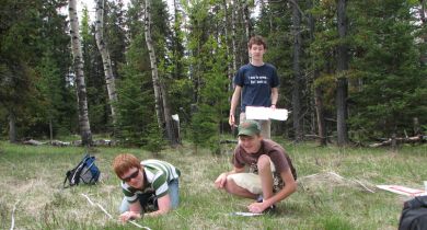 Exploring Biodiversity - a Field Study