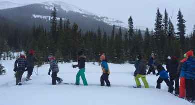 Snowshoe Hare & Lynx Game