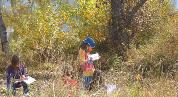 Investigating Ecosystems