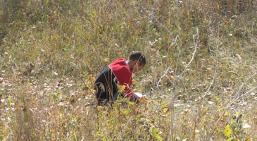 Investigating Ecosystems (2)