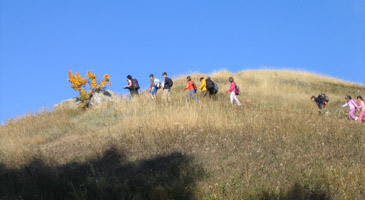 Parks, People, Plants and Animals