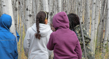 Shrubs, Trees and Dichotomous Keys