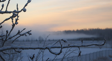 Weather, We Like It