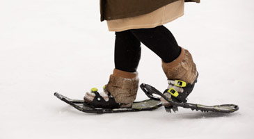 Snowshoeing